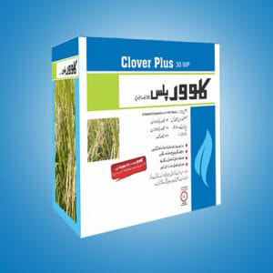 clover plus